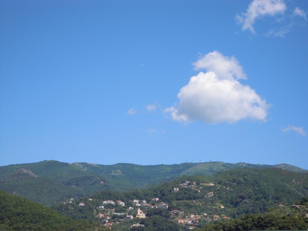 Genovese Villa Elena Appartamenti Varazze Exterior foto